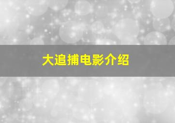 大追捕电影介绍