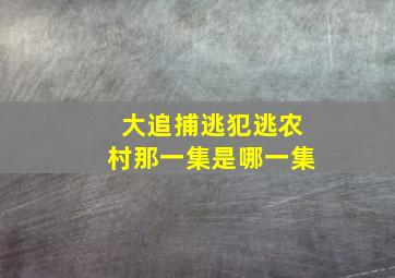 大追捕逃犯逃农村那一集是哪一集