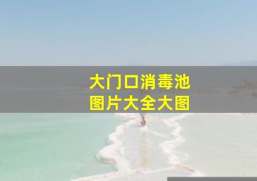 大门口消毒池图片大全大图