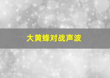 大黄蜂对战声波