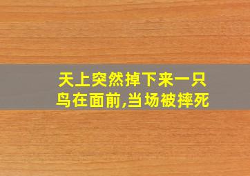 天上突然掉下来一只鸟在面前,当场被摔死