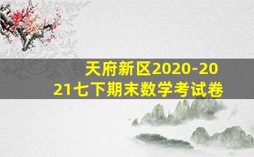 天府新区2020-2021七下期末数学考试卷