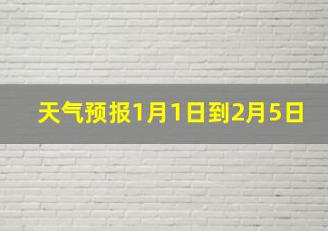 天气预报1月1日到2月5日