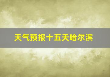 天气预报十五天哈尔滨