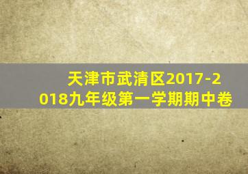 天津市武清区2017-2018九年级第一学期期中卷