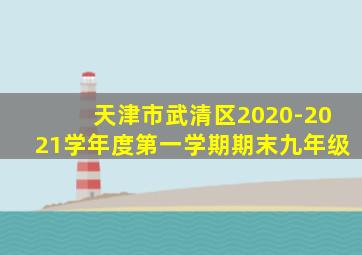 天津市武清区2020-2021学年度第一学期期末九年级