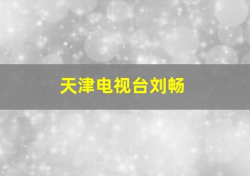 天津电视台刘畅