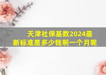 天津社保基数2024最新标准是多少钱啊一个月呢