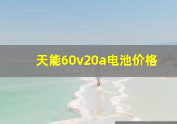 天能60v20a电池价格