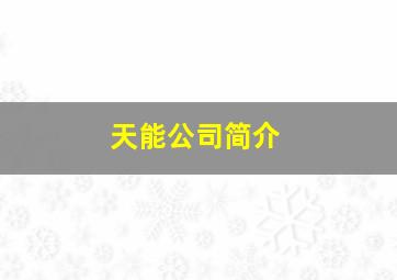 天能公司简介