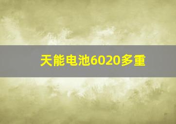 天能电池6020多重