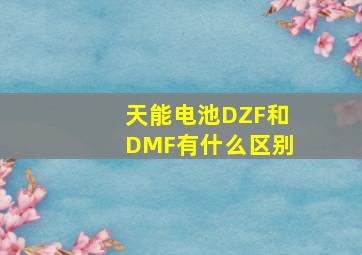 天能电池DZF和DMF有什么区别