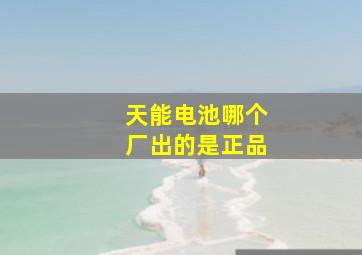 天能电池哪个厂出的是正品