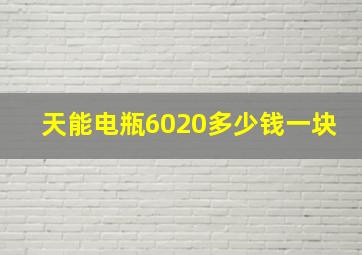 天能电瓶6020多少钱一块