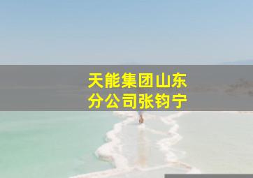 天能集团山东分公司张钧宁