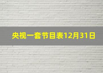 央视一套节目表12月31日