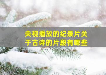 央视播放的纪录片关于古诗的片段有哪些