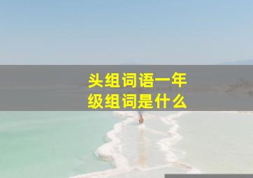 头组词语一年级组词是什么