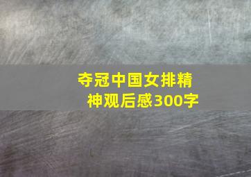 夺冠中国女排精神观后感300字