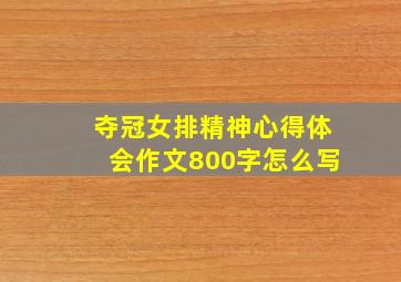 夺冠女排精神心得体会作文800字怎么写