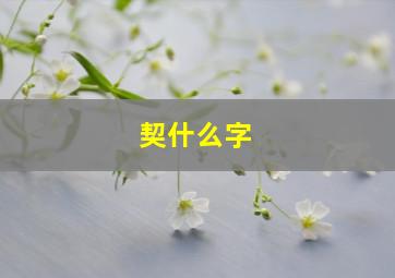 契什么字