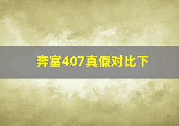 奔富407真假对比下