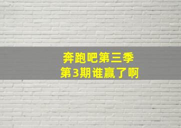 奔跑吧第三季第3期谁赢了啊