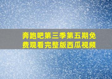 奔跑吧第三季第五期免费观看完整版西瓜视频