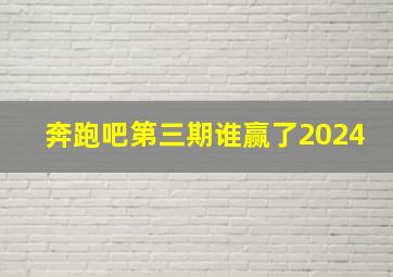 奔跑吧第三期谁赢了2024