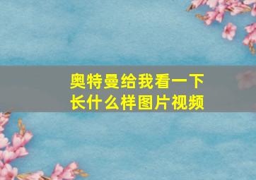 奥特曼给我看一下长什么样图片视频