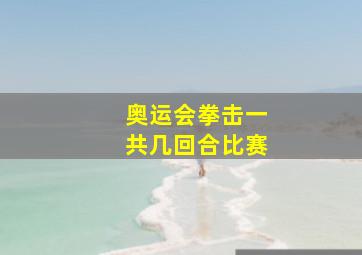 奥运会拳击一共几回合比赛