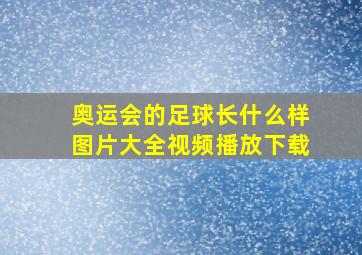 奥运会的足球长什么样图片大全视频播放下载