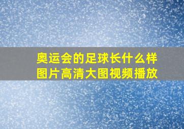 奥运会的足球长什么样图片高清大图视频播放