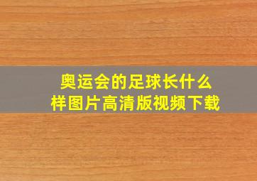 奥运会的足球长什么样图片高清版视频下载