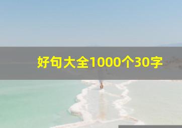 好句大全1000个30字