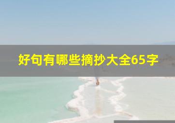 好句有哪些摘抄大全65字