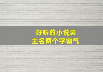 好听的小说男主名两个字霸气