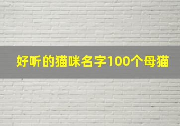 好听的猫咪名字100个母猫