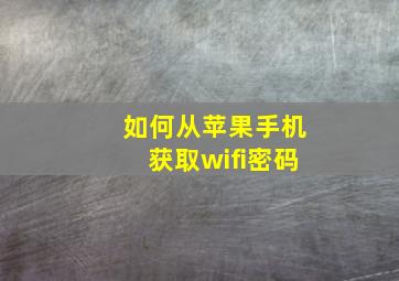 如何从苹果手机获取wifi密码