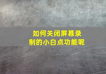 如何关闭屏幕录制的小白点功能呢