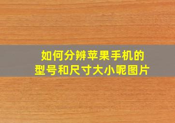 如何分辨苹果手机的型号和尺寸大小呢图片