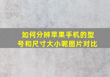 如何分辨苹果手机的型号和尺寸大小呢图片对比