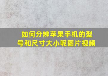 如何分辨苹果手机的型号和尺寸大小呢图片视频