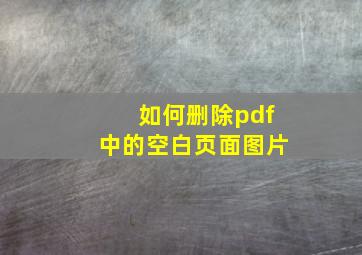 如何删除pdf中的空白页面图片