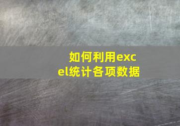 如何利用excel统计各项数据