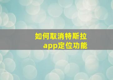 如何取消特斯拉app定位功能