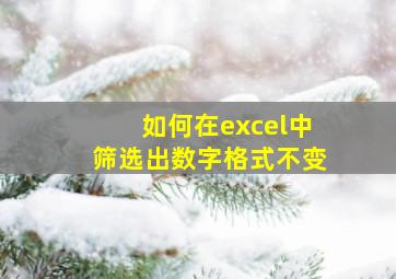 如何在excel中筛选出数字格式不变