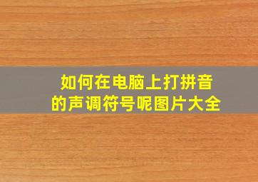 如何在电脑上打拼音的声调符号呢图片大全