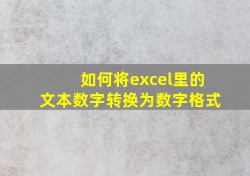 如何将excel里的文本数字转换为数字格式