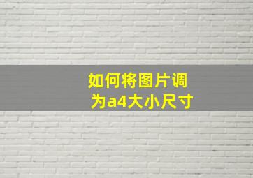 如何将图片调为a4大小尺寸